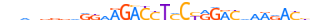 ZN154.H13CORE.0.P.C motif logo (ZNF154 gene, ZN154_HUMAN protein)