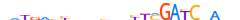 ZN177.H13CORE.0.SM.B motif logo (ZNF177 gene, ZN177_HUMAN protein)