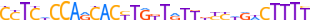 ZN184.H13CORE.0.P.B motif logo (ZNF184 gene, ZN184_HUMAN protein)