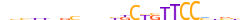 ZN189.H13CORE.1.P.B motif logo (ZNF189 gene, ZN189_HUMAN protein)