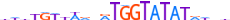 ZN211.H13CORE.1.P.C motif logo (ZNF211 gene, ZN211_HUMAN protein)