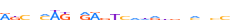 ZN224.H13CORE.0.P.B motif logo (ZNF224 gene, ZN224_HUMAN protein)