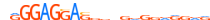 ZN263.H13CORE.1.P.B motif logo (ZNF263 gene, ZN263_HUMAN protein)