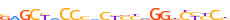 ZN273.H13CORE.0.P.C motif logo (ZNF273 gene, ZN273_HUMAN protein)