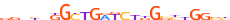 ZN283.H13CORE.0.P.C motif logo (ZNF283 gene, ZN283_HUMAN protein)