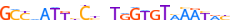 ZN285.H13CORE.0.P.C motif logo (ZNF285 gene, ZN285_HUMAN protein)