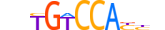 ZN296.H13CORE.0.S.C motif logo (ZNF296 gene, ZN296_HUMAN protein)