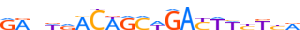 ZN317.H13CORE.0.P.B motif logo (ZNF317 gene, ZN317_HUMAN protein)