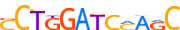 ZN329.H13CORE.1.P.C motif logo (ZNF329 gene, ZN329_HUMAN protein)