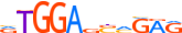 ZN333.H13CORE.0.P.C motif logo (ZNF333 gene, ZN333_HUMAN protein)