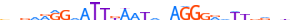 ZN33B.H13CORE.0.P.C motif logo (ZNF33B gene, ZN33B_HUMAN protein)