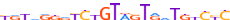 ZN382.H13CORE.0.P.B motif logo (ZNF382 gene, ZN382_HUMAN protein)