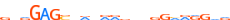 ZN383.H13CORE.0.P.C motif logo (ZNF383 gene, ZN383_HUMAN protein)