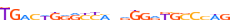 ZN416.H13CORE.0.P.C motif logo (ZNF416 gene, ZN416_HUMAN protein)