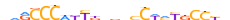 ZN429.H13CORE.0.P.C motif logo (ZNF429 gene, ZN429_HUMAN protein)