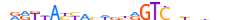 ZN433.H13CORE.0.P.C motif logo (ZNF433 gene, ZN433_HUMAN protein)