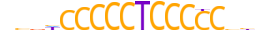 ZN444.H13CORE.0.S.C motif logo (ZNF444 gene, ZN444_HUMAN protein)