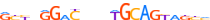 ZN502.H13CORE.0.P.C motif logo (ZNF502 gene, ZN502_HUMAN protein)