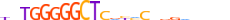 ZN506.H13CORE.0.P.C motif logo (ZNF506 gene, ZN506_HUMAN protein)