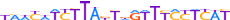 ZN510.H13CORE.0.P.C motif logo (ZNF510 gene, ZN510_HUMAN protein)