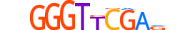 ZN524.H13CORE.0.S.B motif logo (ZNF524 gene, ZN524_HUMAN protein)