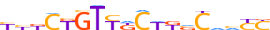 ZN527.H13CORE.0.P.C motif logo (ZNF527 gene, ZN527_HUMAN protein)