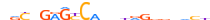 ZN554.H13CORE.0.P.C motif logo (ZNF554 gene, ZN554_HUMAN protein)