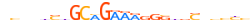 ZN561.H13CORE.0.P.C motif logo (ZNF561 gene, ZN561_HUMAN protein)