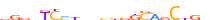 ZN563.H13CORE.0.P.C motif logo (ZNF563 gene, ZN563_HUMAN protein)