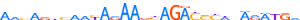 ZN567.H13CORE.0.P.C motif logo (ZNF567 gene, ZN567_HUMAN protein)