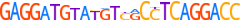 ZN578.H13CORE.0.P.C motif logo (ZNF578 gene, ZN578_HUMAN protein)