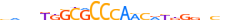 ZN587.H13CORE.0.P.C motif logo (ZNF587 gene, ZN587_HUMAN protein)