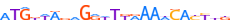 ZN595.H13CORE.0.P.C motif logo (ZNF595 gene, ZN595_HUMAN protein)