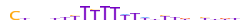 ZN613.H13CORE.0.P.C motif logo (ZNF613 gene, ZN613_HUMAN protein)