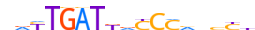 ZN660.H13CORE.0.SM.B motif logo (ZNF660 gene, ZN660_HUMAN protein)