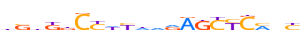 ZN667.H13CORE.0.P.C motif logo (ZNF667 gene, ZN667_HUMAN protein)