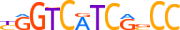 ZN669.H13CORE.1.P.C motif logo (ZNF669 gene, ZN669_HUMAN protein)