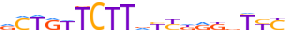 ZN677.H13CORE.0.P.C motif logo (ZNF677 gene, ZN677_HUMAN protein)