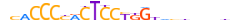 ZN707.H13CORE.0.P.B motif logo (ZNF707 gene, ZN707_HUMAN protein)