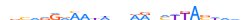 ZN716.H13CORE.0.P.C motif logo (ZNF716 gene, ZN716_HUMAN protein)