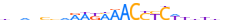 ZN766.H13CORE.0.P.B motif logo (ZNF766 gene, ZN766_HUMAN protein)