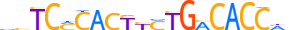 ZN789.H13CORE.0.P.C motif logo (ZNF789 gene, ZN789_HUMAN protein)