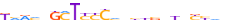 ZN790.H13CORE.0.P.C motif logo (ZNF790 gene, ZN790_HUMAN protein)