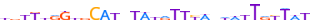 ZN879.H13CORE.0.P.C motif logo (ZNF879 gene, ZN879_HUMAN protein)