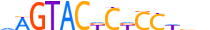 ZNF20.H13CORE.0.PSG.A motif logo (ZNF20 gene, ZNF20_HUMAN protein)