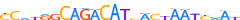 ZNF23.H13CORE.0.P.C motif logo (ZNF23 gene, ZNF23_HUMAN protein)