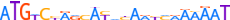 ZNF26.H13CORE.0.P.B motif logo (ZNF26 gene, ZNF26_HUMAN protein)