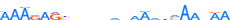 ZNF35.H13CORE.0.P.C motif logo (ZNF35 gene, ZNF35_HUMAN protein)