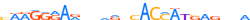 ZNF41.H13CORE.0.P.C motif logo (ZNF41 gene, ZNF41_HUMAN protein)