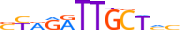 ZNF43.H13CORE.0.PSGI.A motif logo (ZNF43 gene, ZNF43_HUMAN protein)